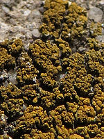 Výřez (R), F4.0; 1/1250 s; ISO: 100,Ohnisková vzdálenost: 4.30 mm 