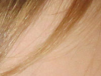 Výřez (R), F5.0; 1/60 s; ISO: 800,Ohnisková vzdálenost: 44.65 mm 