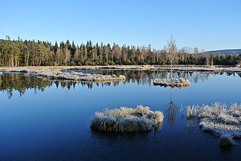 Obrázek č. 18 - Fotografie v plném rozlišení