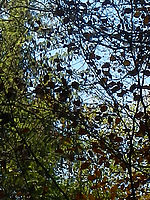 Náhled (R), F3.9; 1/125 s; ISO: 125, Ohnisková vzdálenost (EQ35mm): 28 mm 