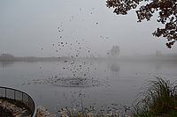 Spadnout a smočit se