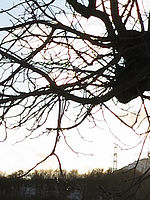 Výřez (R), F4.0; 1/500 s; ISO: 80,Ohnisková vzdálenost: 5.20 mm 