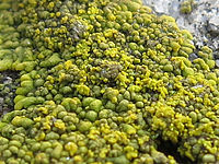 Výřez (R), F4.0; 1/30 s; ISO: 80,Ohnisková vzdálenost: 5.20 mm 