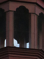 Výřez (R), F5.9; 1/640 s; ISO: 800,Ohnisková vzdálenost: 26.00 mm 