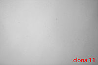 prach se objevuje - clona 11