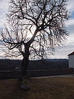 Náhled, F7.1; 1/600 s; ISO: 100,Ohnisková vzdálenost: 7.10 mm 