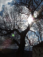Náhled, Výrobce: NIKON, Model: COOLPIX P510, F7.4; 1/1250 s; ISO: 100,Ohnisková vzdálenost: 7.10 mm