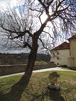 Originál (R), Výrobce: NIKON, Model: COOLPIX P510, F3.0; 1/1250 s; ISO: 100,Ohnisková vzdálenost: 4.