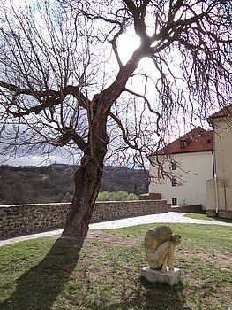 Originál (R), Výrobce: SONY, Model: DSC-HX200V, F2.8; 1/1250 s; ISO: 100,Ohnisková vzdálenost: 4.80 