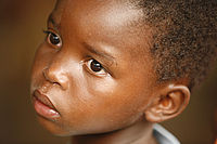 (c) Helena Macenauerová