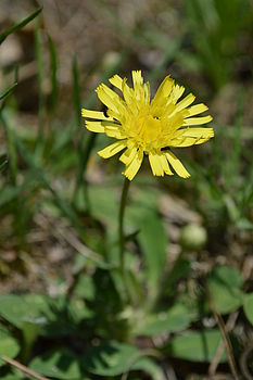 F9.0; 1/320 s; ISO: 100,Ohnisková vzdálenost: 55.00 mm,Ohnisková vzdálenost (EQ35mm): 82 mm 