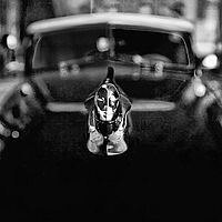 mafiánská | (c) Jana Sedláková mafiánská