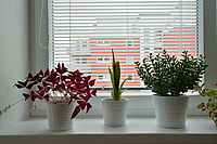 NIKON D4 - Doba expozice: 1/400 s, Clona: 10, Ohnisková vzdálenost: 32.00 mm, ISO: 800, D-lighting z