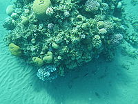 Vyvážení bílé není zcela správně