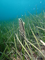 Pohled vodorovným směrem