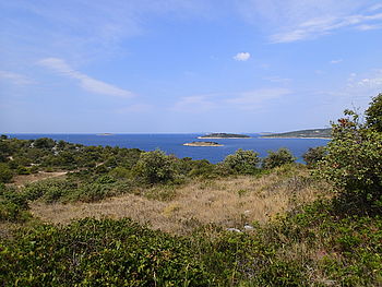 Model: TG-1 , F8.0; 1/320 s; ISO: 100,Ohnisková vzdálenost: 4.50 mm | (c) Petr Koritina Model: TG-1 , F8.0; 1/320 s; ISO: 100,Ohnisková vzdálenost: 4.50 mm