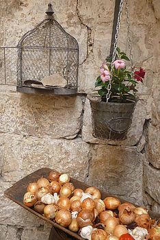 Model: DMC-FT4, F3.9; 1/60 s; ISO: 100,Ohnisková vzdálenost: 6.40 mm | (c) Petr Koritina Model: DMC-FT4, F3.9; 1/60 s; ISO: 100,Ohnisková vzdálenost: 6.40 mm