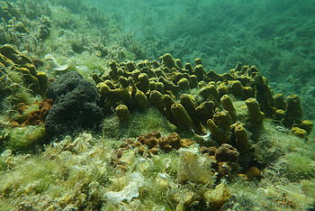 Model: DMC-FT4, F3.3; 1/100 s; ISO: 100,Ohnisková vzdálenost: 4.90 mm | (c) Petr Koritina Model: DMC-FT4, F3.3; 1/100 s; ISO: 100,Ohnisková vzdálenost: 4.90 mm