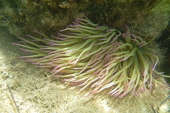 Model: DMC-FT4, F3.3; 1/125 s; ISO: 100,Ohnisková vzdálenost: 4.90 mm | (c) Petr Koritina Model: DMC-FT4, F3.3; 1/125 s; ISO: 100,Ohnisková vzdálenost: 4.90 mm