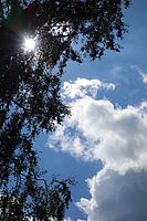 přímé protisvětlo na nejdelším ohnisku - 1/1600 s, F9.0, ISO 125, 100 mm (EQ35mm) 