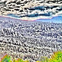 HDR mapováním tonality - jasové (výřez) HDR mapováním tonality - jasové (výřez)