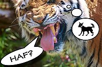 možnosti nástroje vložit tvar - tvorba komiksů | (c) The DOBROVOD