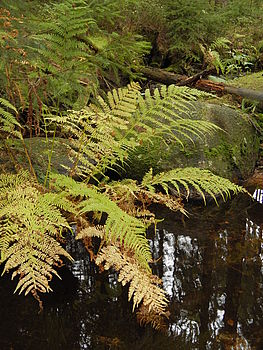 F3.8; 1/20 s; ISO: 400,Ohnisková vzdálenost (EQ35mm): 43 mm 