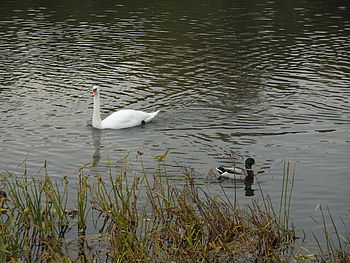 F4.8; 1/60 s; ISO: 125,Ohnisková vzdálenost (EQ35mm): 110 mm 