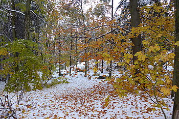 F1.4; 1/60 s; ISO: 100,Ohnisková vzdálenost (EQ35mm): 24 mm 