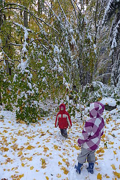 F1.4; 1/60 s; ISO: 160,Ohnisková vzdálenost (EQ35mm): 24 mm 