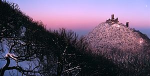 Ledové království