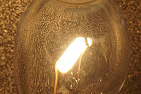 Výřez, F13; 1/4000 s; ISO: 100,Ohnisková vzdálenost (EQ35mm): 60 mm | (c) Petr Koritina Výřez, F13; 1/4000 s; ISO: 100,Ohnisková vzdálenost (EQ35mm): 60 mm