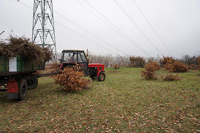 Originál, F5.6; 1/80 s; ISO: 100,Ohnisková vzdálenost (EQ35mm): 24 mm 