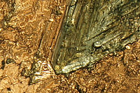 Výřez, F9.0; 1/1250 s; ISO: 100,Ohnisková vzdálenost (EQ35mm): 75 mm | (c) Petr Koritina Výřez, F9.0; 1/1250 s; ISO: 100,Ohnisková vzdálenost (EQ35mm): 75 mm