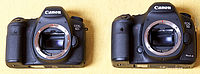 Canon EOS 6D vs. Canon EOS 5D Mark III