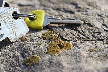 Model: Canon EOS M, F8.0; 1/180 s; ISO: 100,Ohnisková vzdálenost: 55.00 mm | (c) Petr Koritina Model: Canon EOS M, F8.0; 1/180 s; ISO: 100,Ohnisková vzdálenost: 55.00 mm