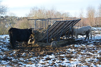 Originál, F5.6; 1/125 s; ISO: 100,Ohnisková vzdálenost (EQ35mm): 30 mm 