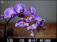 Výběr místa pro MF ostření | (c) Karel Omes Výběr místa pro MF ostření