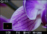 Zvětšení vybraného místa | (c) Karel Omes Zvětšení vybraného místa