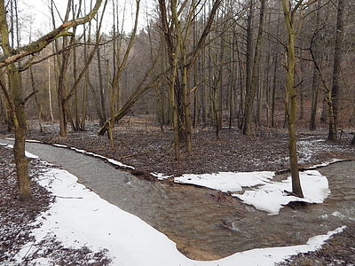 Originál, 1/200 s, f/3.1, ISO: 200, Ohnisková vzdálenost (EQ35mm): 22 mm 
