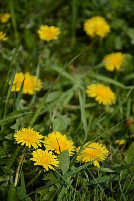 Originál, 1/500 s, f/5.6, ISO: 100, Ohnisková vzdálenost (EQ35mm): 105 mm,WB Automatické 