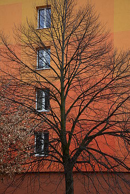 Originál, 1/125 s, f/6.3, ISO: 100, Ohnisková vzdálenost (EQ35mm): 52 mm,WB Automatické 