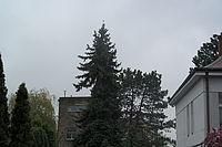 vylepšení dynamického rozsahu vylepšení dynamického rozsahu