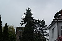 bez úpravy dynamického rozsahu bez úpravy dynamického rozsahu