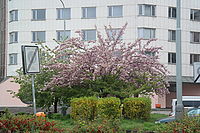 Samsung NX300, 1/125s, f/5.6, ISO 200 Samsung NX300, 1/125s, f/5.6, ISO 200