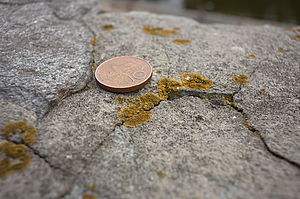 1/250 s, f/5.0, ISO: 100, WB Automatické