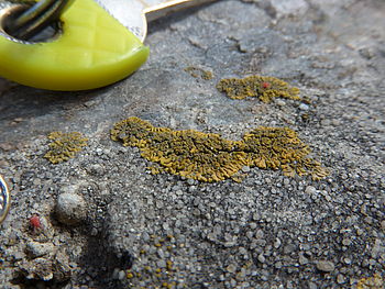 Originál, 1/100 s, f/8.0, ISO: 80, Ohnisková vzdálenost (EQ35mm): 28 mm | (c) Petr Koritina Originál, 1/100 s, f/8.0, ISO: 80, Ohnisková vzdálenost (EQ35mm): 28 mm