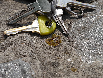 Originál, 1/500 s, f/11, ISO: 160, Ohnisková vzdálenost (EQ35mm): 84 mm 