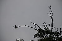 bez korekce bez korekce