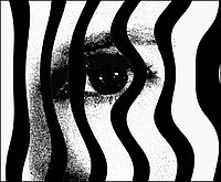 Za mříží svého světa